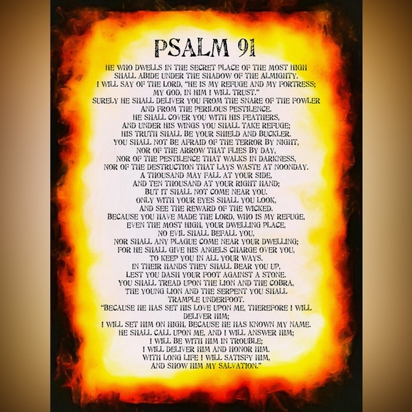 Meet your Posher, Jason - Picture 2 of 5